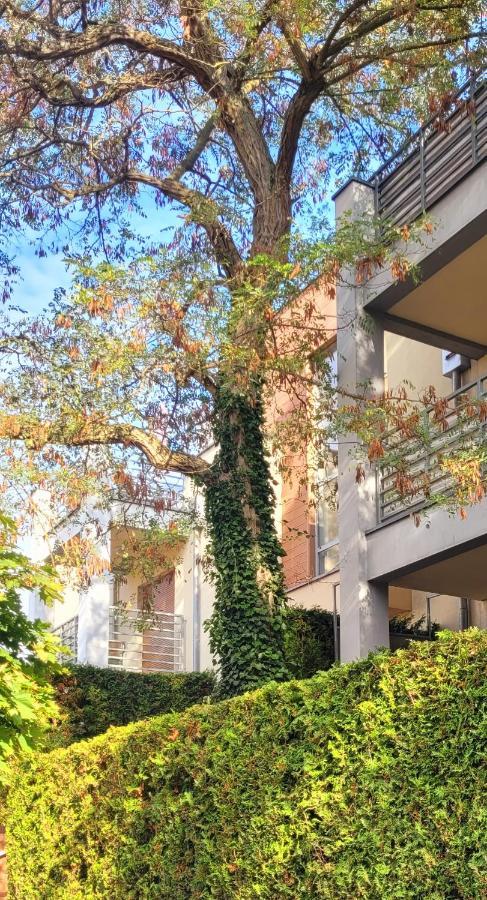 Apartament Wyspa, 2 Pokoje, Parking Gratis Miedzywodzie Ngoại thất bức ảnh